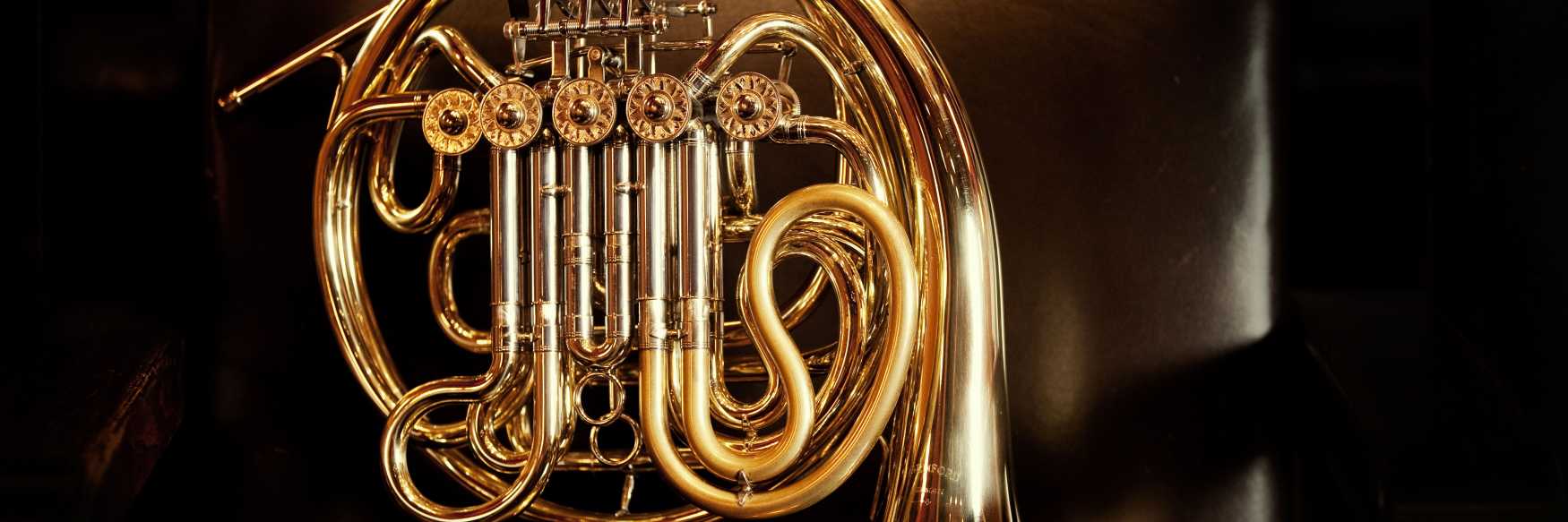 Detailansicht Horn